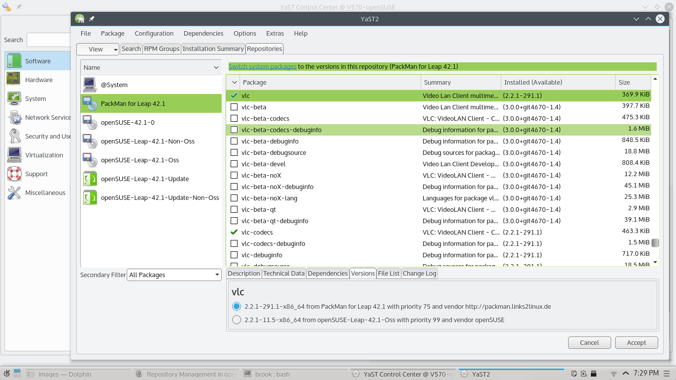 selecting packages for installation in YaST's SOftware Module