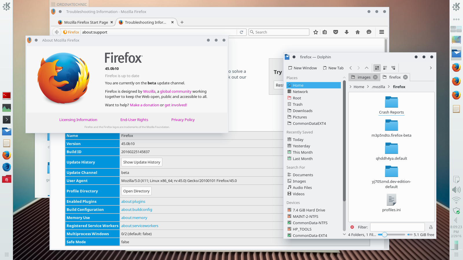 About Firefox Window and Troubleshooting Information
